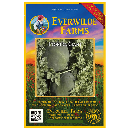 Everwilde Farms - 40 Florida Giant Watermelon Seeds - Gold Vault Jumbo Bulk Seed