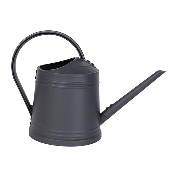 Regadera para plantas de interior, regadera pequeña, regadera de pico largo para Gris