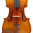 thumbnail image 1 of Juego de Cuerdas para Violín 4 en 1 Ecomeon con Paño de Limpieza y Silenciador de Goma, 1 of 5