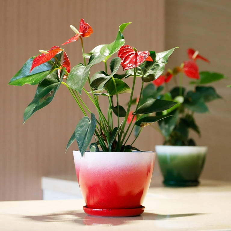 WORTH Plastic Round 8" Planters for Indoor Plants - Set of 6 Multicolor  Small Gloss Flower Pots with Drainage Holes and Saucers - Home Decorative  Christmas Containers - Walmart.com