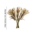 thumbnail image 3 of Dongrere Natural Dried Pampas Grass Bouquet, Neutral Toned Dried Floral, Phragmites Dried Flowers for Home, Wedding Centerpieces, Farmhouse Vases, 15" - 17", 3 of 6