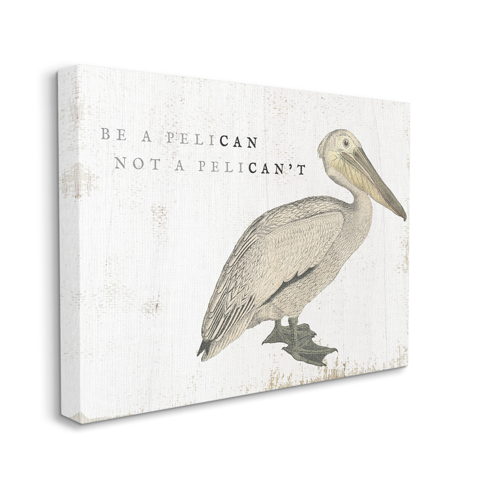 Stupell Industries Be Pelican not Pelican't Funny Beach Phrase Pun, 40 x 30,Design by Daphne Polselli