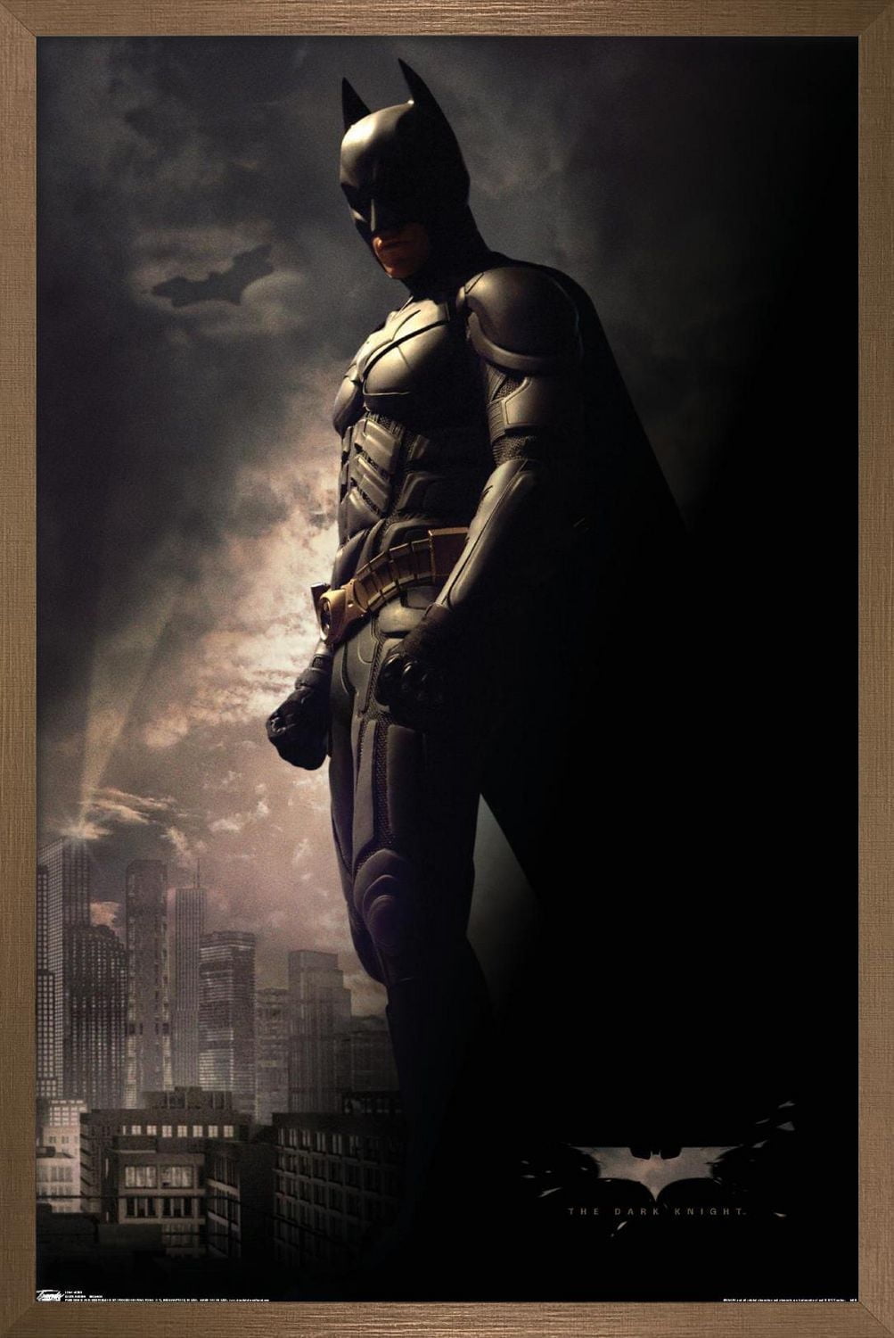 Film DC Comics - The Dark Knight - Batman dans l'ombre