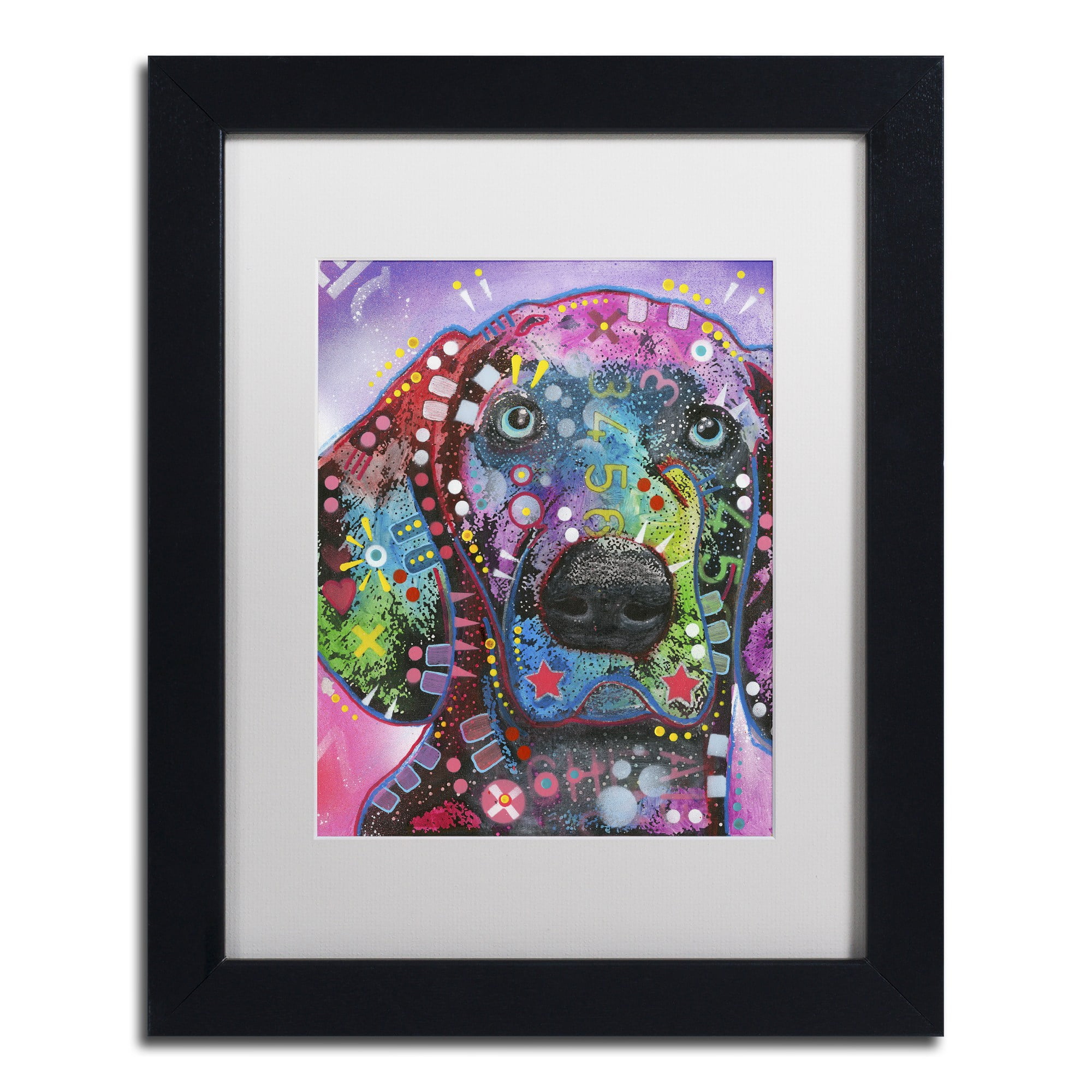 Trademark Fine Art "Purple Excitement" Canvas Art by Dean Russo, White Matte, Black Frame