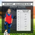 thumbnail image 7 of Vizari Junior Keeper Gloves for Protection & Grip | Tri-Color Youth Soccer Goalie Gloves with Elastic Wristband for Secure Fit | Finger Support Goalkeeper Gloves with Foam Cushioning for Kids & Youth, 7 of 7