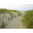 thumbnail image 2 of Art.com Path at Head of the Meadow Beach, Cape Cod National Seashore, Massachusetts, USA Stretched Canvas Print Wall Art by Jerry & Marcy Monkman, 16" x 12", 2 of 4