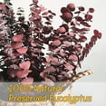 thumbnail image 2 of 20 Pcs Dried Fall Eucalyptus Stems Red, Fall Floral Stems, Christmas Burgundy Dried Flowers for Vase, Real Eucalyptus Orange Brown, Eucalyptus Plant, 17" Fall Decorations Floral Arrangement, 2 of 6