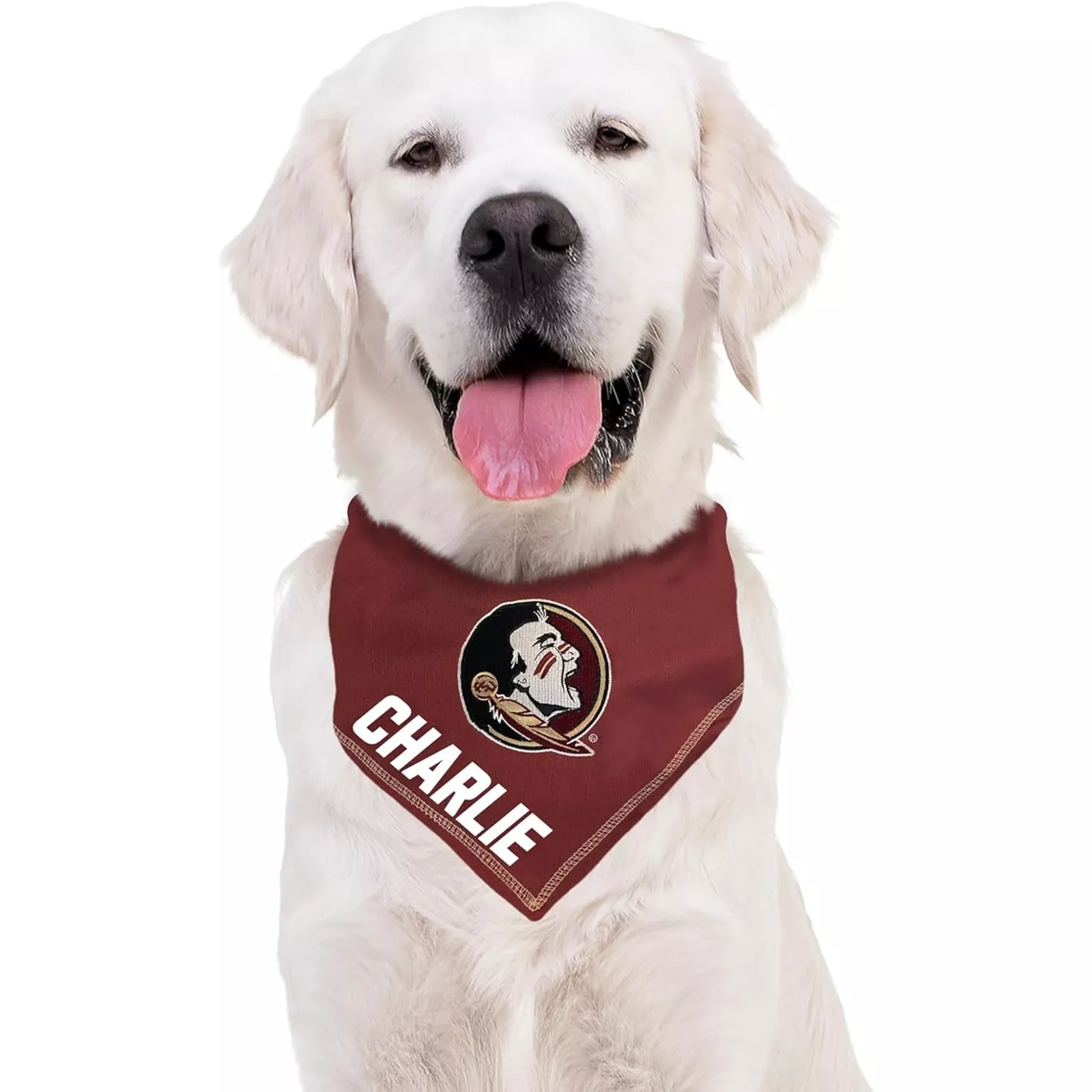 Pets First NCAA Personalized Tie Bandana for Dogs & Cats Sporty Dog Bandana