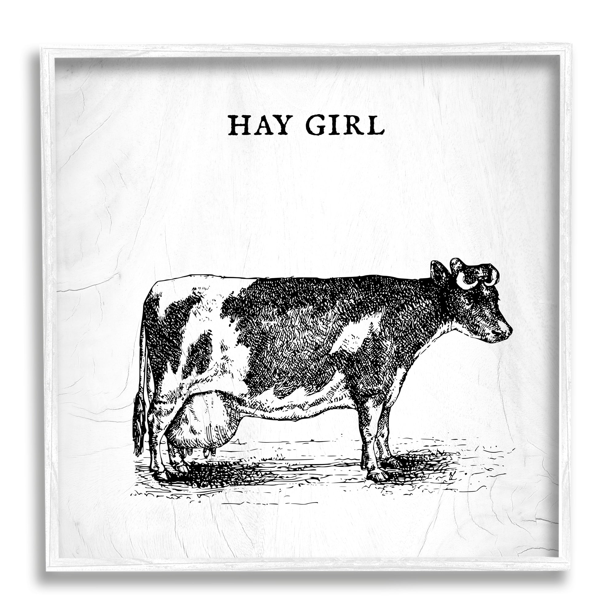 Stupell Industries Hay Girl Funny Phrase Farmhouse Dairy Cow Pun Graphic Art White Framed Art Print Wall Art, 12x12, by Daphne Polselli