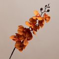 thumbnail image 2 of Artificial Fake Silk Flower 9 Heads DIY Phalaenopsis Butterfly Orchid for Home, 2 of 5