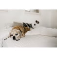 thumbnail image 4 of Kotter Home  Terry Cloth Mattress Protector, 4 of 5