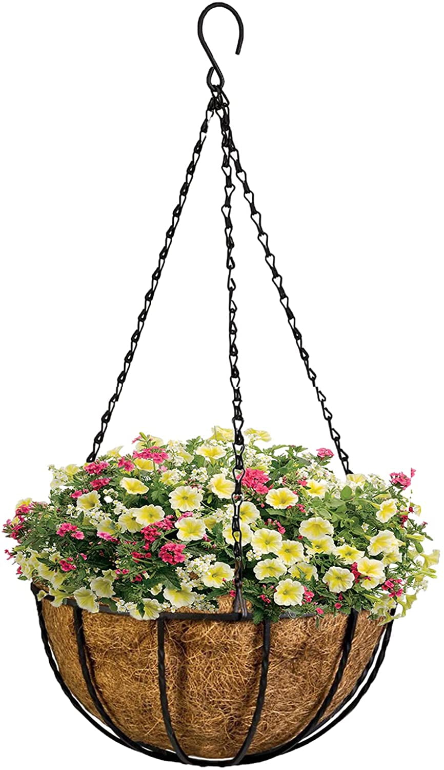 20 x 12" Wire Hanging Basket 30cm Round Bottom Baskets Metal Coated Green Plant 