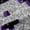 Black Purple A, variant on Feelyou Fashion Monogrammed K Black Out Curtains, Bling Butterfly Animal Curtains Pack of 2 (42x63 Each), Black Purple Sequin Print Bedroom Curtains, Living Room Curtains Decor