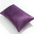 thumbnail image 5 of Ntbay 2 Pack Velvet Toddler Pillowcases, Soft and Warm Travel Pillow Covers with Hidden Zipper Closure, 13" x 18", Purple, 5 of 5