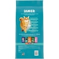 thumbnail image 3 of Iams Proactive Health Salmon Dry Cat Food, 7 Lb Bag, 3 of 17