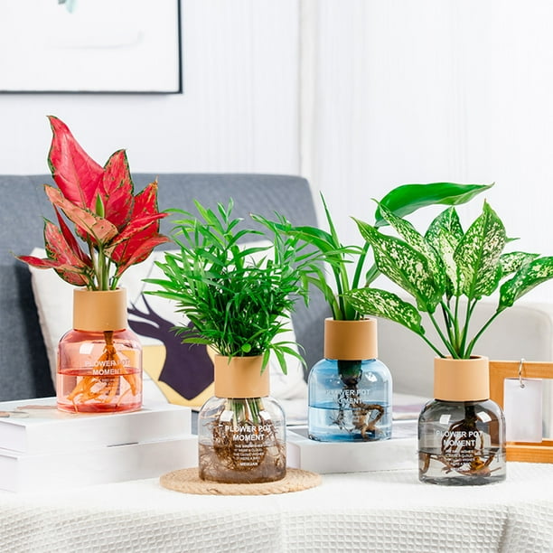 Macetas de plantas auto-riego: macetas de plástico transparente con depósito de agua para plantas de interior, 13,5x10x5,5cm, riego de 30 días, conjunto de 1