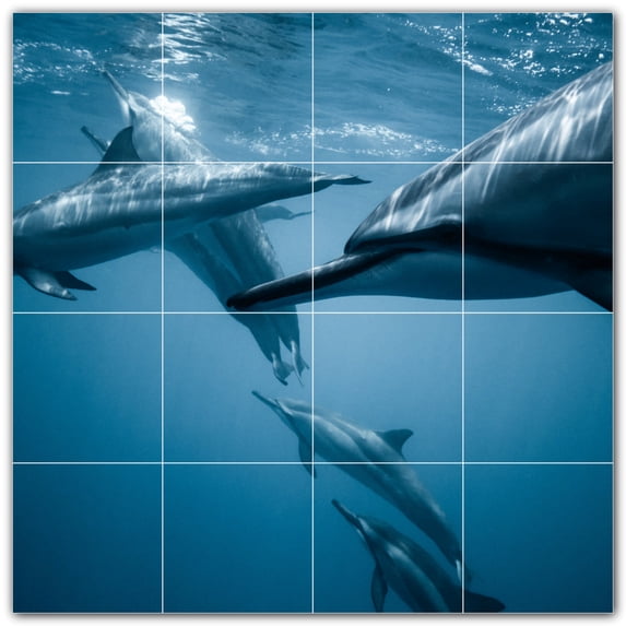 Picture-Tiles.com: Dolphin Ceramic Tile Wall Mural WAL500521-44S. 17"W x 17"H using (16) 4.25" x 4.25" Ceramic Tiles-Satin Finish