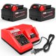thumbnail image 1 of Cargador de baterías WECACHWE 18V 6.0Ah Litio-Ion Fast Charge, 1 of 8
