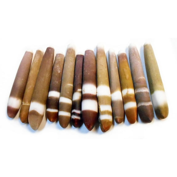 50 Thick Sea Urchin Spines (2-3") Beach Crafts Wind Chime Undrilled