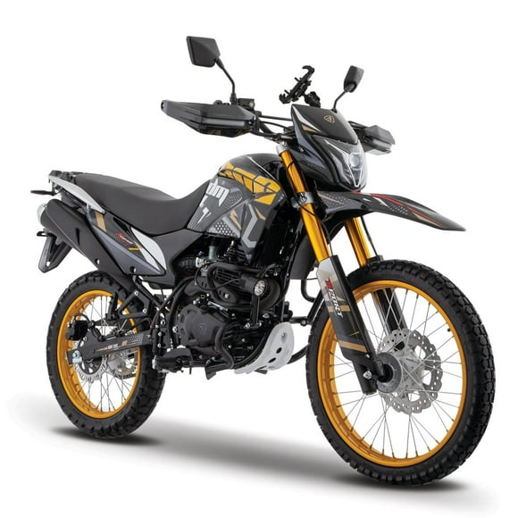 Motocicleta ITALIKA DM300 DORADO