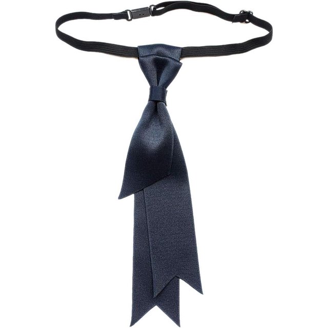 LinYooLi Nœud Papillon de Mariage pour Hommes et Femmes, Classique, Ajustable, pour Fête, Tissu Ruban, Pré-Noué