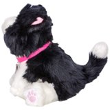 Little Live Pets Muffin My Dream Kitten, WALMART EXCLUSIVE! - Walmart.com