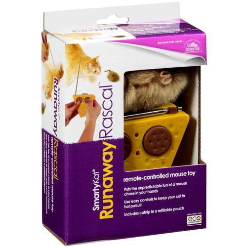 smartykat racin rascal