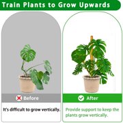 Debonair Moss Pole for Plants - 17 Inches (2 Pack) | Monstera Houseplant Stakes, Moss Poles for Garden, Coir Totem Sticks
