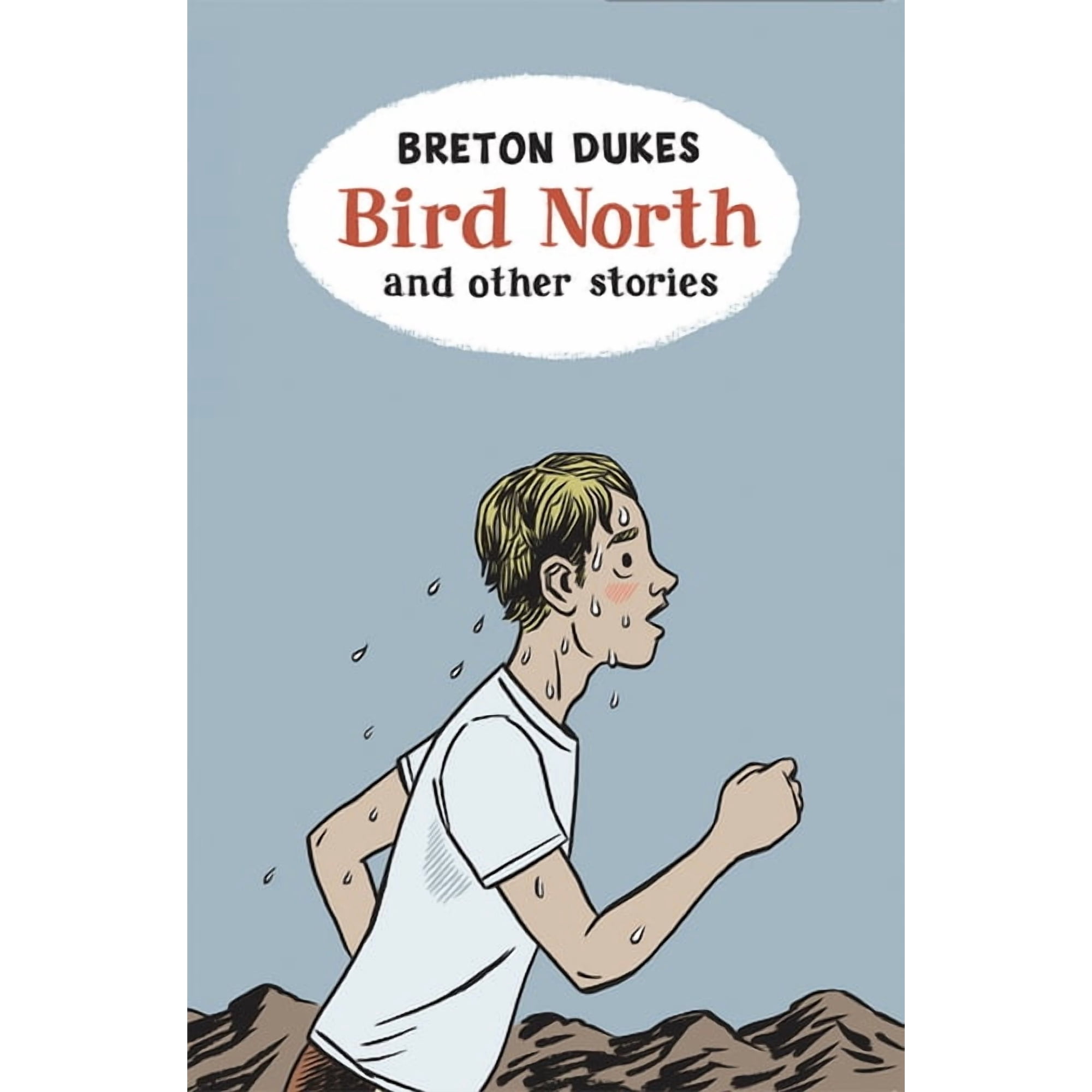 Bird North and Other Stories (Paperback)
