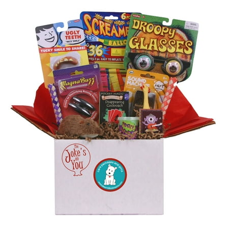 The Joke's On You - Summer Camp Care Package or Birthday Gift With Fun Gags and (Best Summer Camp Care Packages)