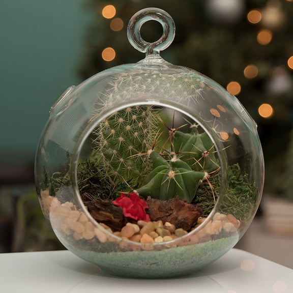 4 PCS Hanging Glass Terrarium DIY Wedding Decoration Succulent Planter Vase Clear for Flowers Stand Ball