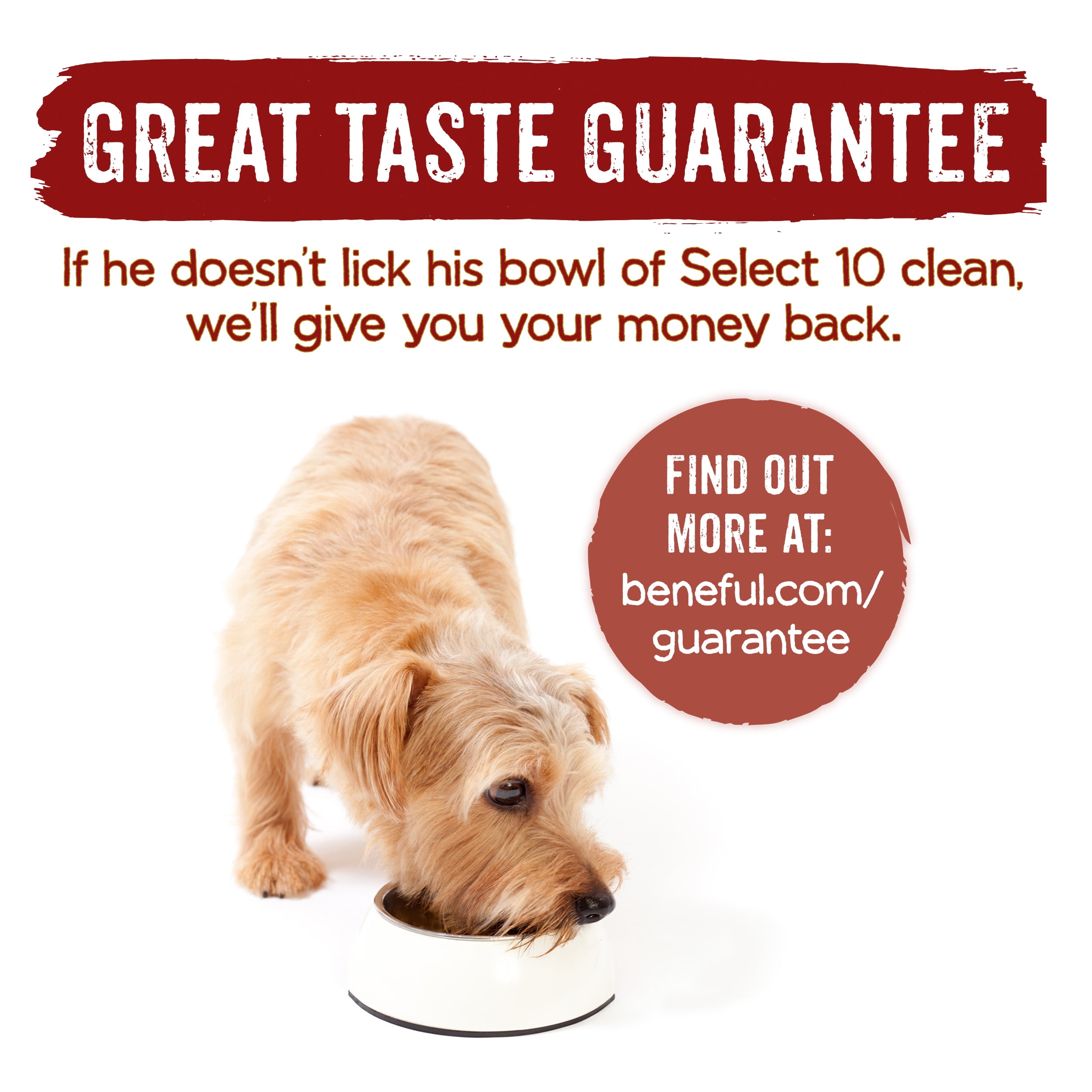 Beneful select 10 clearance walmart