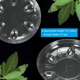 thumbnail image 3 of Uxcell 6 Inch Plant Saucers, Clear Plastic Drip Trays Plant Plate Dish for Indoor Planters Flower Pots, 10pcs, 3 of 6