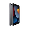 thumbnail image 3 of Apple iPad (9ª Generación) 10.2' Wi-fi 256gb Color Gris Espacial, 3 of 5