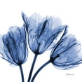 thumbnail image 2 of Koetsier, Albert 15x15 Black Ornate Wood Framed with Double Matting Museum Art Print Titled - Indigo Stunning Tulips, 2 of 4