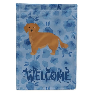 Carolines Treasures CK6051GF Small Greek Domestic Dog Welcome Flag Garden Size Small multicolor
