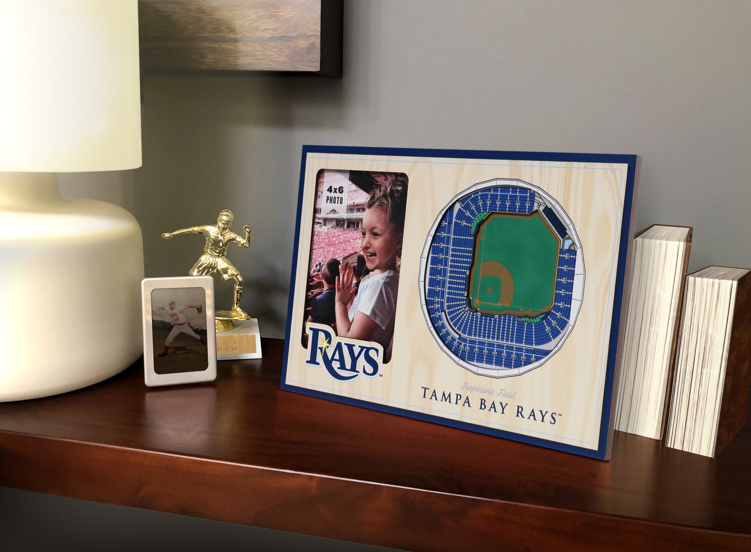 YouTheFan MLB Tampa Bay Rays 3D StadiumView Picture Frame