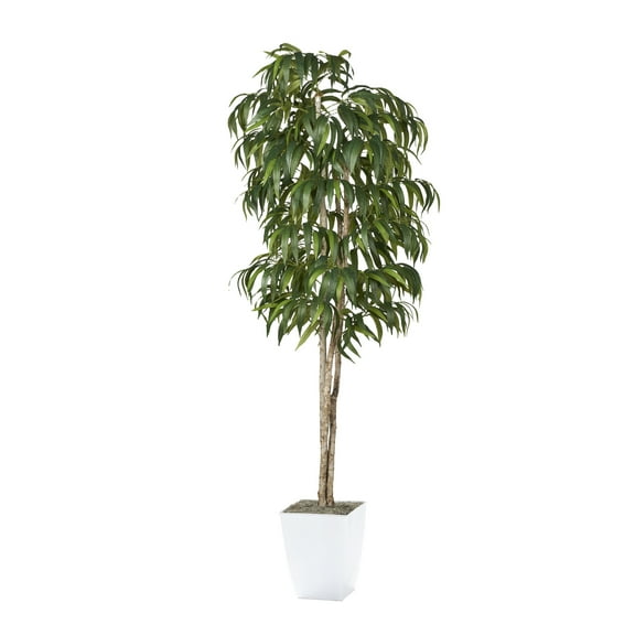 D&W Silks 8' Weeping Ficus in White Metal Planter