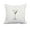 Coral, variant on 18 x 18 Inch Martini Glass Text Fade Light Green Geometric Print Decorative Polyester Throw Pillow with Linen Texture