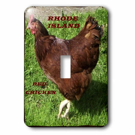 3drose state bird of rhode island red chicken 2 plug outlet cover