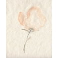 thumbnail image 2 of Goldberger, Jennifer 12x14 White Modern Wood Framed Museum Art Print Titled - Fleur Petite II, 2 of 4