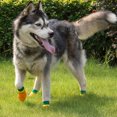 thumbnail image 2 of Zapatillas impermeables para mascotas, perros, cachorros, gatos, zapatos de goma, calcetines antideslizantes, tamaño #0-3 Yuyangstore none, 2 of 8