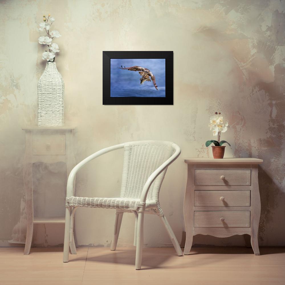 Huang, Tao 14x11 Black Modern Framed Museum Art Print Titled - Osprey