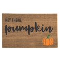 thumbnail image 1 of Big Sale ! Nomeni Carpet,Polyester Carpet,Decor Welcome Mat Pumpkin Doormat Door Rug Mat Fall Decor Pumpkin Fall Decor, 1 of 9