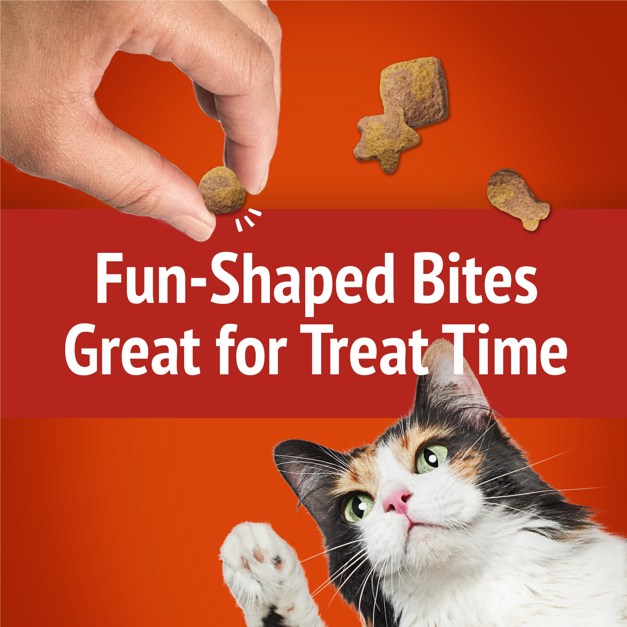 Friskies Party Mix Gravy-Licious Crunch Cat Treats photo 8