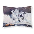 thumbnail image 1 of ""Caroline'S Treasures 7163Pillowcase Harlequin Natural Great Danes Tela Que Absorbe La Humedad Funda De Almohada Estándar Grande Multicolor"", 1 of 1