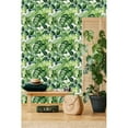thumbnail image 2 of Green Monstera Wallpaper Pre-Pasted - 25"W x 225"H, 2 of 3