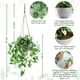 thumbnail image 2 of Tnntopele Plantas Colgantes Falsas Con Macetas, Paquete De 2 Plantas Artificiales De Hoja De Anturio Artificial, Cesta Colgante Para Pared, Hogar, Habitación, Decoración Interior Y Exterior, 2 of 9