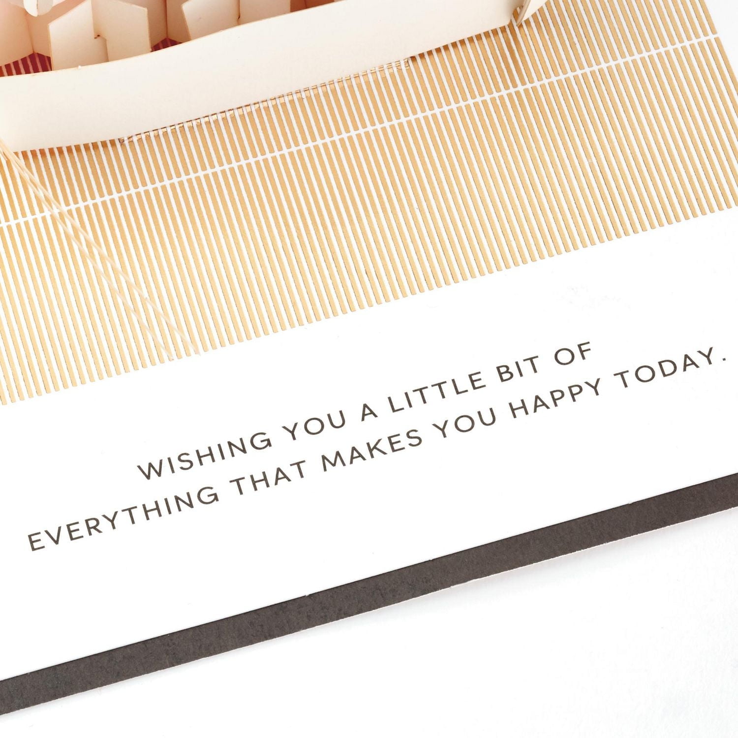 Carte de fête Signature en relief – Paper Wonder de Hallmark (Sushi « Everything That Makes You Happy »)