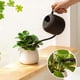 thumbnail image 4 of Watering Can Indoor Plants, 1.2L/41OZ Cute Watering Can Pot, Stainless Steel Garden Watering Can with Long Spout, 4 of 5